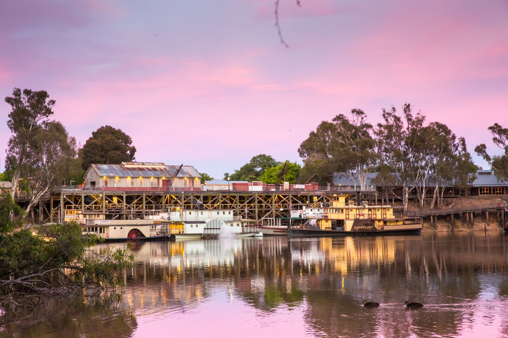 Function & Flourish | Occupational Therapy Echuca–Moama